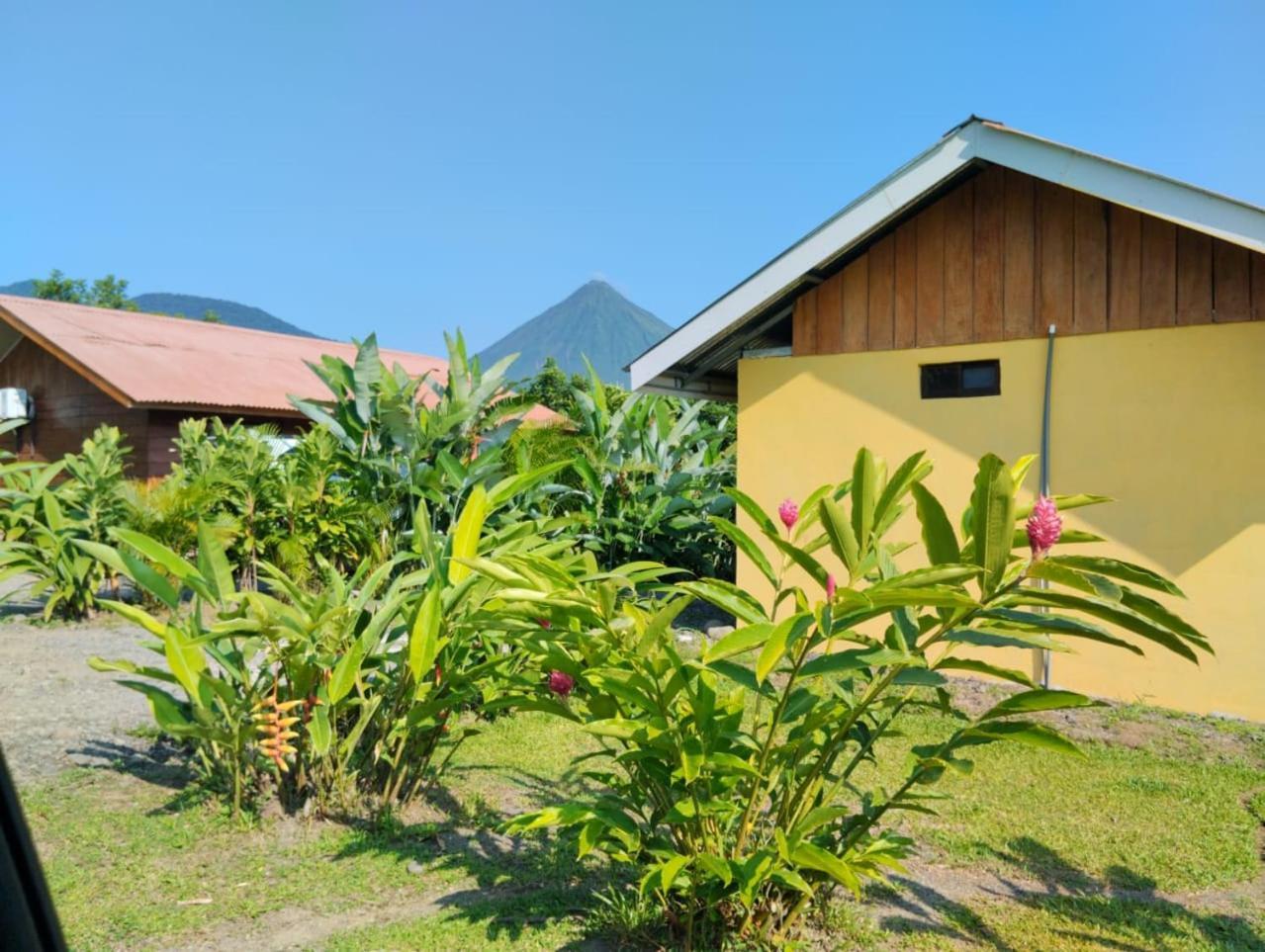 Cabana Rural Ave Del Paraiso La Fortuna Eksteriør billede
