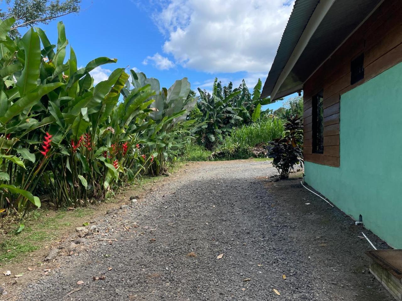 Cabana Rural Ave Del Paraiso La Fortuna Eksteriør billede